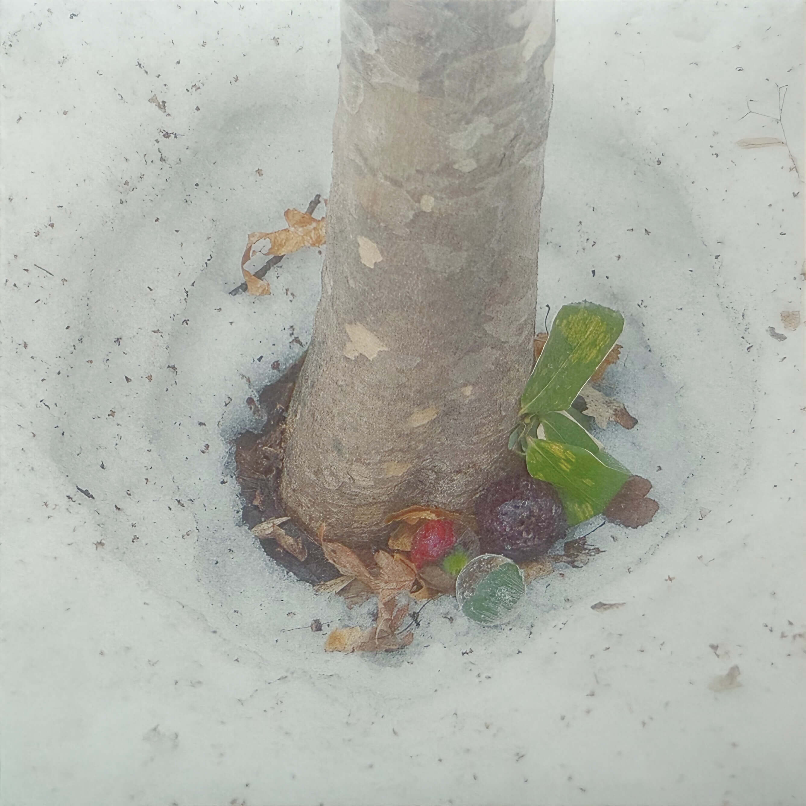 春 1stミニアルバム「春」